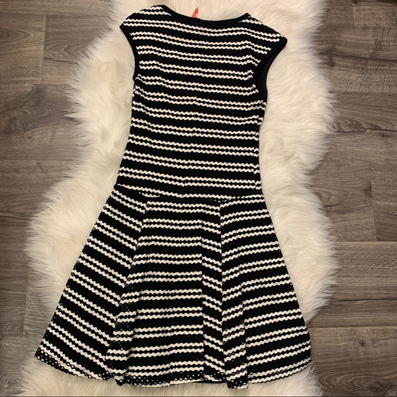 Forever 21 Eight Sixty Black Stripe Skater Dress - Picture 5 of 9